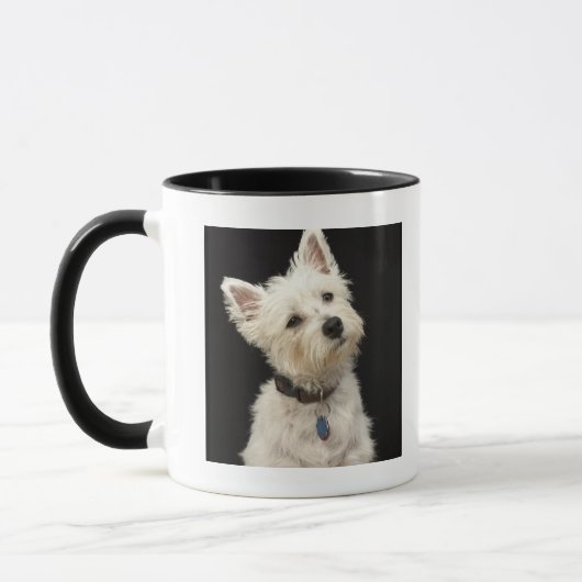 Westie (West Highland shiier) met halsband Mok (Links)