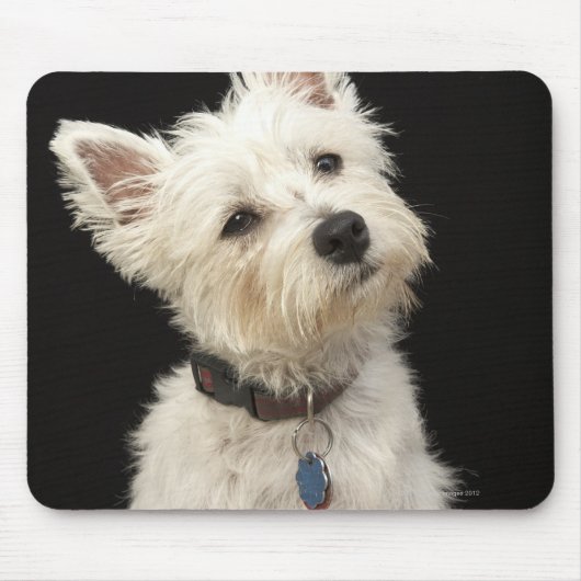 Westie (West Highland shiier) met halsband Muismat (Voorkant)