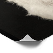 Westie (West Highland shiier) met halsband Poster (Hoek)