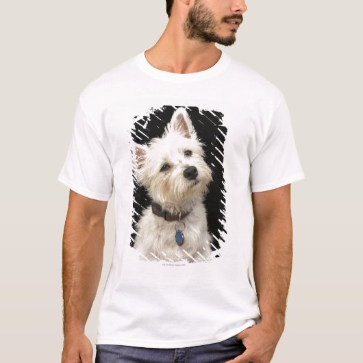Westie (West Highland shiier) met halsband T-shirt (Voorkant)
