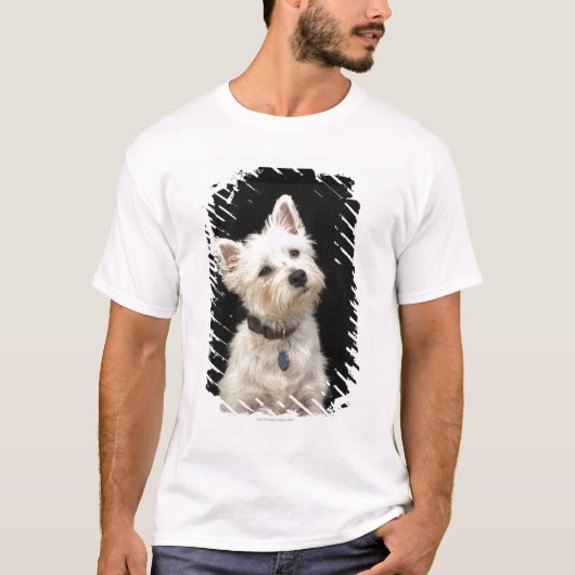 Westie (West Highland shiier) met halsband T-shirt (Voorkant)