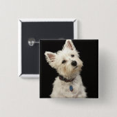 Westie (West Highland shiier) met halsband Vierkante Button 5,1 Cm (Voorkant /achterkant)
