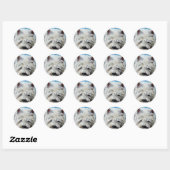 Westie West Highland Terrier Dog Beach Bum Sticker (Vel)