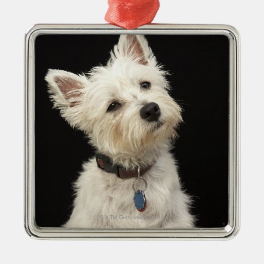 Westie | West Highland Terrier Metalen Ornament (Voorkant)