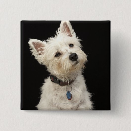 Westie | West Highland Terrier Vierkante Button 5,1 Cm (Voorkant)