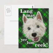 Westie Wisdom. Lang kan je rotzak zijn. Briefkaart (Voorkant / Achterkant)