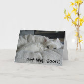 Westie wordt goed spoedig het Wenskaart van de Kaart (Gele Bloem)