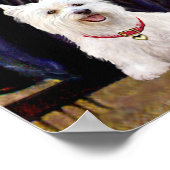 Westies 3 en 11 - Moeder van Whistler Poster (Hoek)