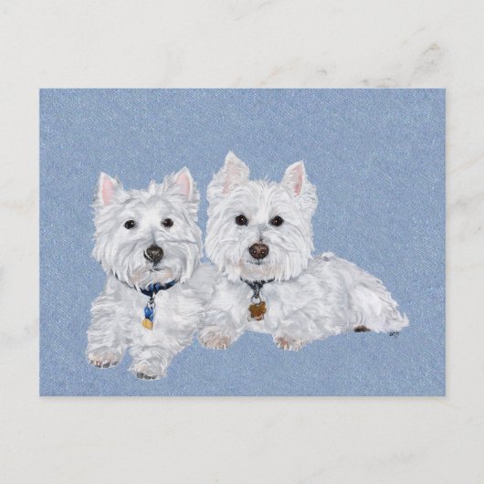Westies-ansichtkaart Briefkaart (Voorkant)