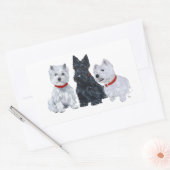 Westies en een Scottie Samen Rechthoekige Sticker (Envelop)