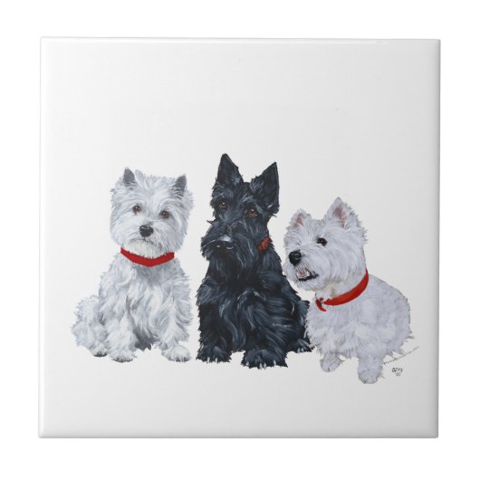 Westies en een Scottie Samen Tegeltje (Voorkant)