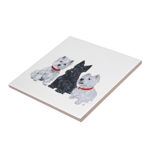 Westies en een Scottie Samen Tegeltje (Zijkant)