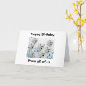 Westies in de sneeuw "Gelukkige verjaardag van ons Kaart (Gele Bloem)