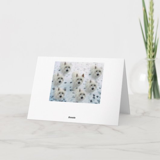 Westies in de Sneeuw Kerstgroet kaart (Achterkant)