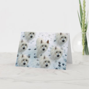 Westies in de Sneeuw Kerstgroet kaart