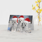 Westies in de winterfeestkaart kaart (Gele Bloem)