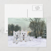 Westies in de wintertijd briefkaart (Voorkant / Achterkant)