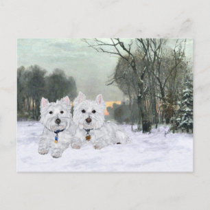 Westies in de wintertijd briefkaart