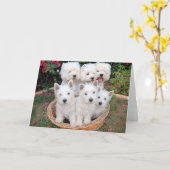 Westies in een mand kaart (Gele Bloem)