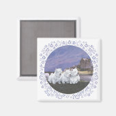 Westies in Schotland Magneet (Voorkant / Achterkant)