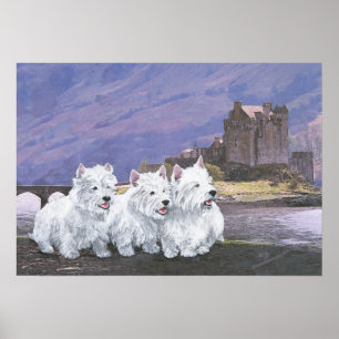 Westies in Schotland Poster