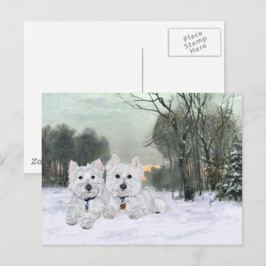 Westies in Wintertime Briefkaart (Voorkant / Achterkant)