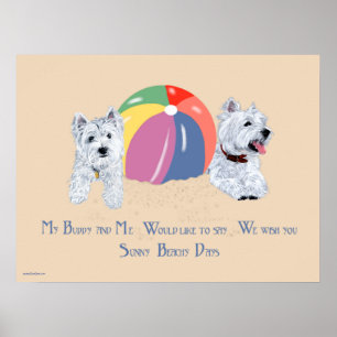 Westies met een Beach Ball Poster