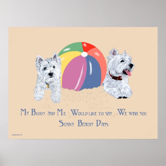 Westies met een strandbalposter poster (Voorkant)