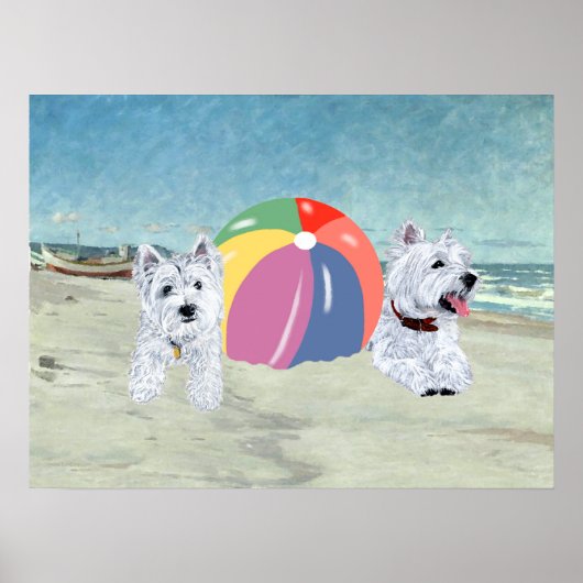 Westies met een strandbalposter poster (Voorkant)