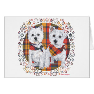 Westies op Tartan