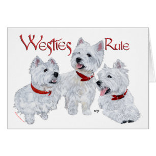 Westies-regel!