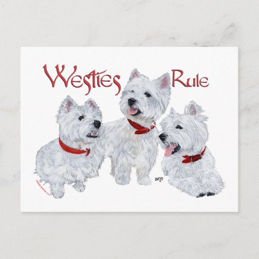Westies regeren! briefkaart (Voorkant)