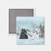 Westies & Scottie in de wintertijd Magneet (Voorkant / Achterkant)