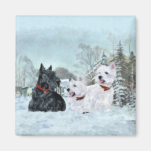 Westies & Scottie in de wintertijd Magneet (Voorkant)