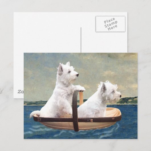 Westies Set Sail Briefkaart (Voorkant / Achterkant)