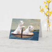 Westies zetten koers kaart (Gele Bloem)