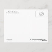 Westivew Boat Harbour Briefkaart (Achterkant)