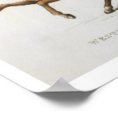 Westminster Cavalry Volunteer, bord 4 van 'Loyal Poster (Hoek)