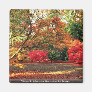 Westonbirt Arboretum, Gloucestershire, Engeland Magneet