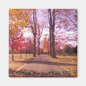  Westport Magnet - Longshore (Voorkant)
