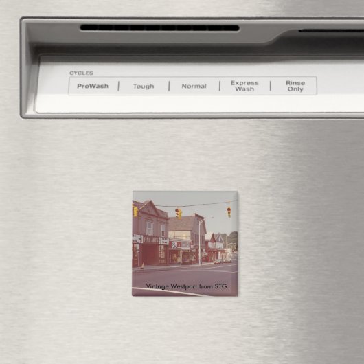  Westport Magnet - Schone Kunsten Theater (Insitu (Vaatwasser))