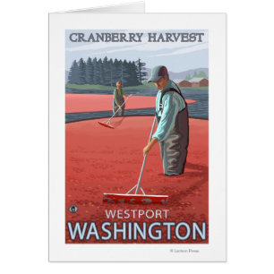 Westport, Washington Cranberry Bog Harvest