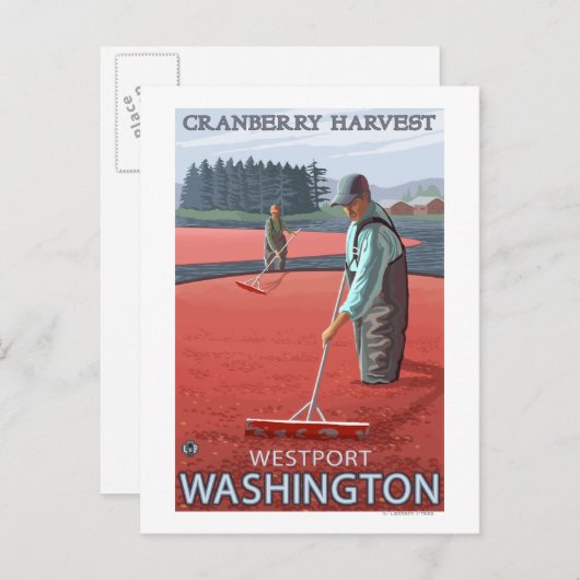 Westport, Washington Cranberry Bog Harvest Briefkaart (Voorkant / Achterkant)