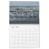 Westport Waves - Surfing Calendar 2013 Kalender (Mar 2027)