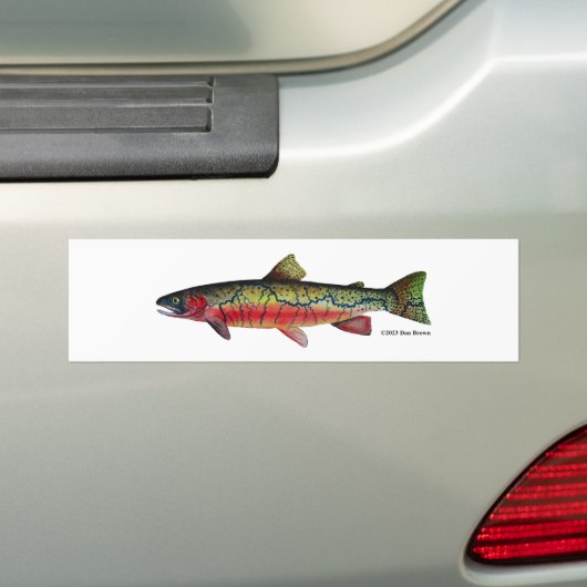 Westslope Cutkeel Trout; Bumpersticker (Op auto)