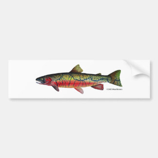 Westslope Cutkeel Trout; Bumpersticker