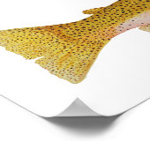 Westslope Cutkeel Trout Waterverf Poster (Hoek)