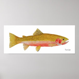 Westslope Cutkeel Trout Waterverf Poster