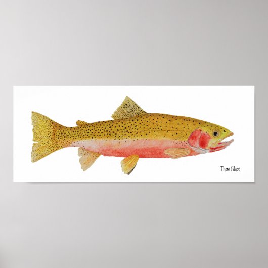 Westslope Cutkeel Trout Waterverf Poster (Voorkant)