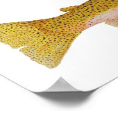 Westslope Cutkeel Trout Waterverf Poster (Hoek)
